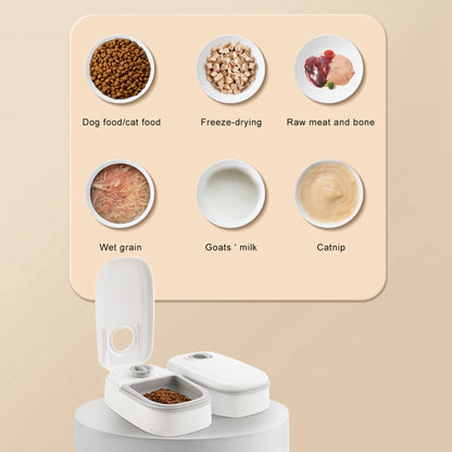 Automatic pet feeder with a smart food dispenser for cats and dogs, featuring a timer, stainless steel bowl, and automatic feeding system. Perfect for pet feeding and supplies.