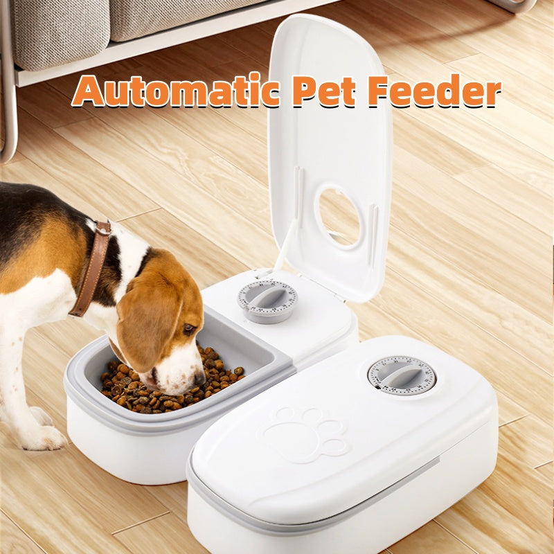 Automatic pet feeder with a smart food dispenser for cats and dogs, featuring a timer, stainless steel bowl, and automatic feeding system. Perfect for pet feeding and supplies.