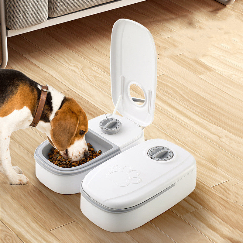 Automatic pet feeder with a smart food dispenser for cats and dogs, featuring a timer, stainless steel bowl, and automatic feeding system. Perfect for pet feeding and supplies.